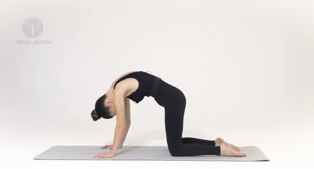 Упражнения для спины. С чего начать